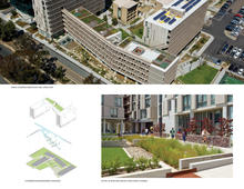Stormwater management and habitat creation - Photo Credit: Lenska (top) and Tim Griffith (bottom)