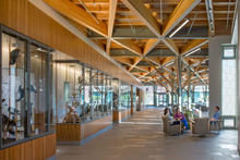 Concourse Wildlife Display - Photo Credit: David Lamb Photography