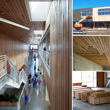Priority was given to recycled materials, like the the interior finish wood seen in these photos. The wood came from salvaged from cypress trees from Louisiana downed during Hurricane Katrina. Exterior cladding was reclaimed from warehouses in Missouri and California. - Photo Credit: (c) Farshid Assassi