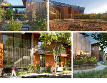 A building set within a vibrant, regenerative ecosystem. - Photo Credit: Jeremy Bittermann and courtesy of JONI L. JANECKI & ASSOCIATES, INC.