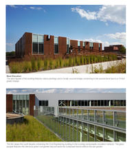 Native Landscpaing, Rain Garden & Intensive Green Roof - Photo Credit: Kate Joyce Studios
